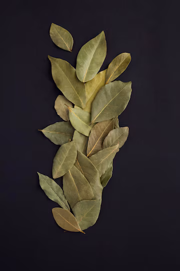 Slide Image